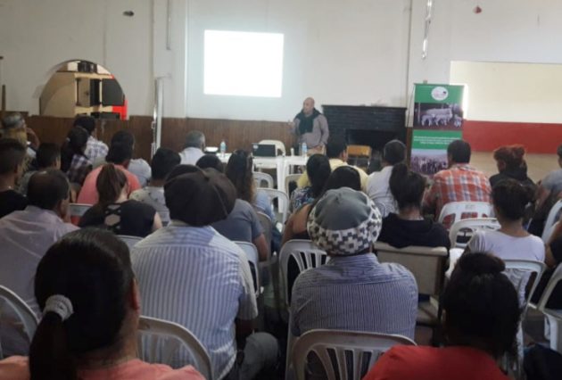 ovinews. san luis