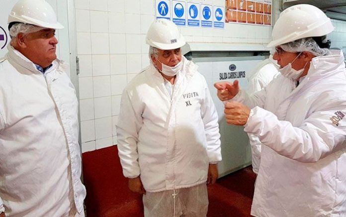 ovinews-exportacion de carnes santa isabel