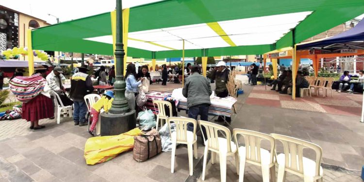 ovinews.expopuno