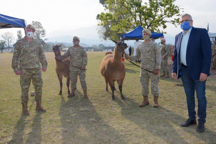 on-llamas ejercito1