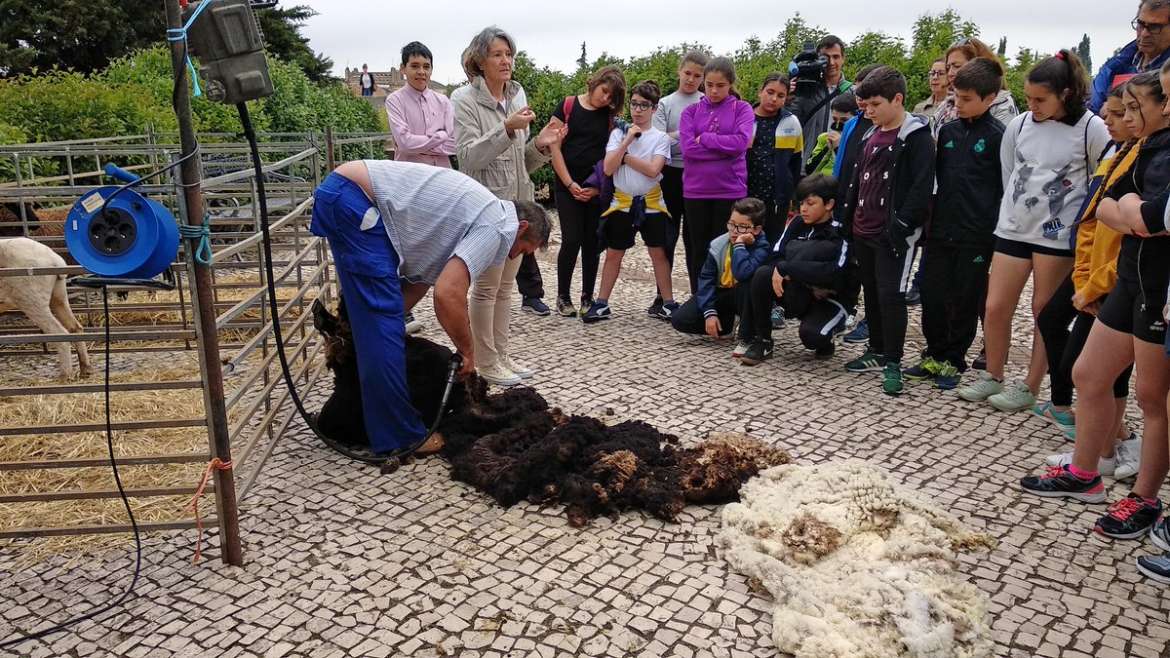 ovinews-badajoz esquila