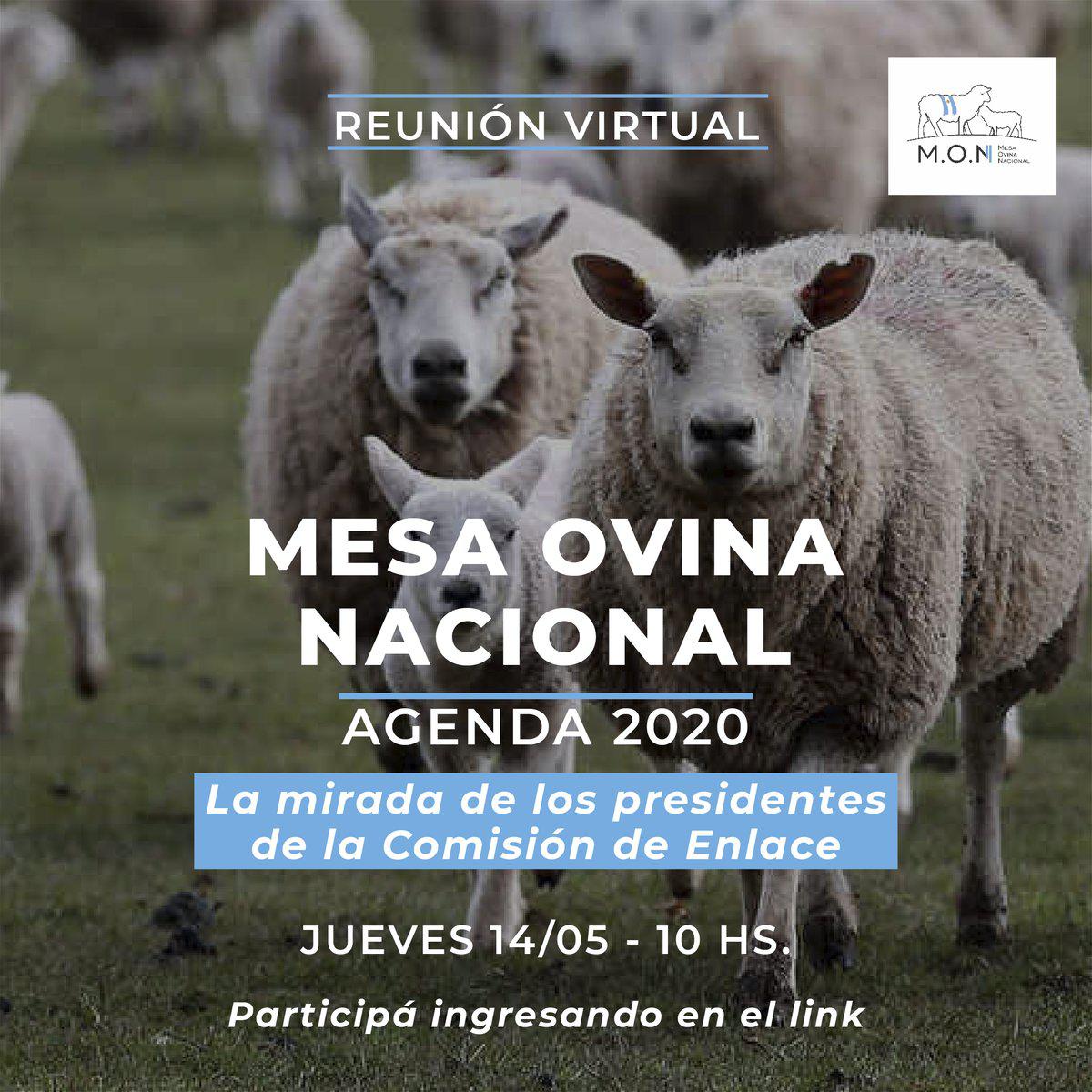 ovinos-mesa-virtual
