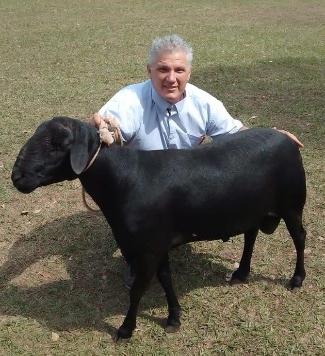 Alexis-Ferrer