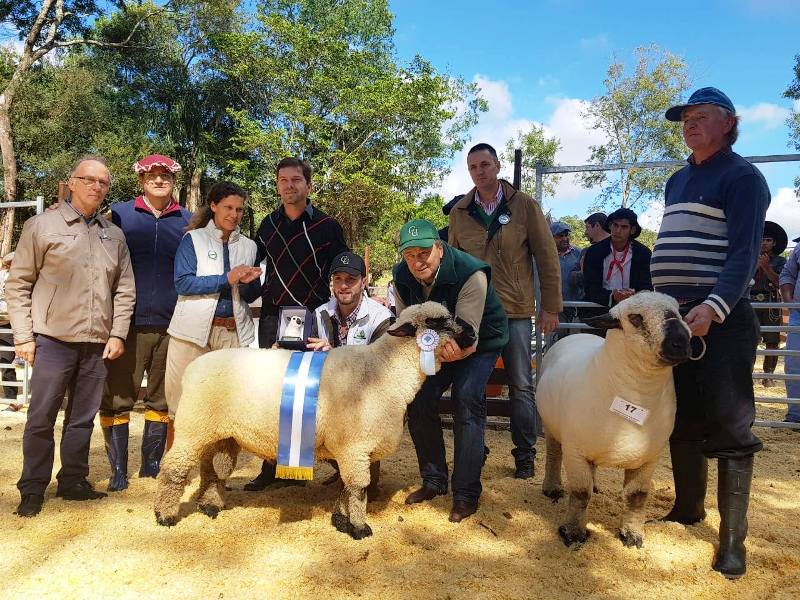 ovinews.-feria animales menores