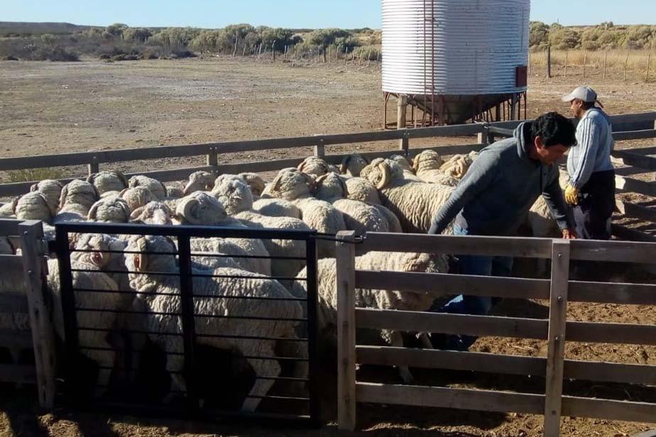 on-provincia acompañara a