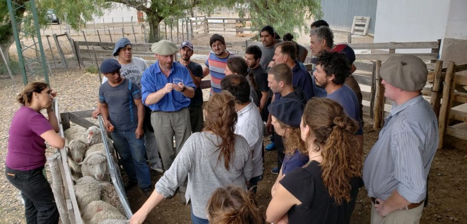 Capacitacion-Chubut-Regenera-960x460