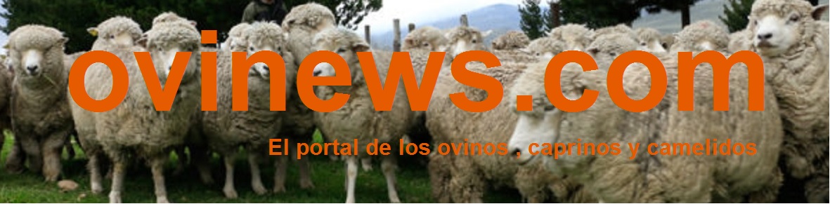 Ovinews - Noticias de ovinos, caprinos y camélidos en su justa medida